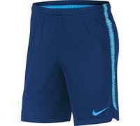 Nike Men Fcb M Nk Dry Sqd Short K Shorts - Coastal Blue/Vivid Sky/Equator, Small