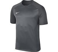 Nike Men Men's Dry Team Trophy III Football Jersey T-Shirt - Cool Grey/Dark Grey/Dark Grey/(White), Large