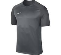 Nike Men Men's Dry Team Trophy III Football Jersey T-Shirt - Cool Grey/Dark Grey/Dark Grey/(White), X-Large