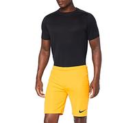 Nike Men Park II NB Shorts - University Gold/Black, M