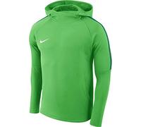 NIKE Men's Academy 18 Hoodie, Light Green Spark/Pine Green/White, M UK