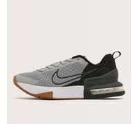 Nike Men's Air Max Alpha Trainer 6, Silver/Anthracite