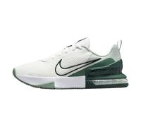 Nike Men's Air Max Alpha Trainer 6 Workout Shoes, Summit White/Seaweed/Light SIL, 6
