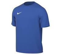 NIKE Men's Dri-Fit Park VIII S T-Shirt, Royal Blue/White, M