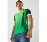 Nigeria 2026 Stadium Home Men's Nike Dri-FIT Football Short-Sleeve Jersey - Green - Polyester S