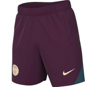Nike Men's Paris Saint-Germain Herren Dri-fit Strike Short Kz, Bordeaux/Geode Teal/Guava Ice, XXL