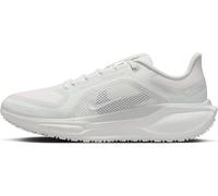 Nike Men's Pegasus 41 Gore-Tex Waterproof Road Running Shoes, Summit White White Photon Dust Off White, 10.5 UK