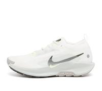 Nike Men's Pegasus Trail 5 Gore-Tex Sneaker White/Sequoi/Light Silver
