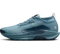 NIKE Men's Pegasus Trail 5 Gore-TEX Waterproof Trail Running Shoes, Smokey Blue/Light Silver, 10 UK