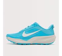 Nike Men's Pegasus Trail Running Shoes, Blue