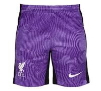NIKE Men's Season 2023/2024 Official Third Short Stadium Shorts