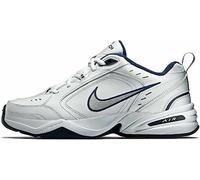 Nike Men's Vision Low Trainers, White Metallic Silver Navy Blue, 8.5 UK
