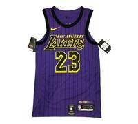 Nike NBA LA Lakers Lebron James City Edition Vaporknit Jersey 'Lakers Purple' AH6213-508 M