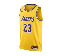 Nike Nba Los Angeles Lakers Lebron James Dri-fit Icon Swingman Jersey Red C733