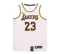 Nike NBA Los Angeles Lakers LeBron James No. 23 Jersey White AA7101-111 L