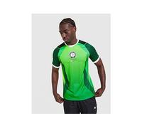 Nigeria 2026 Stadium Home Men's Nike Dri-FIT Football Short-Sleeve Jersey - Green - Polyester S
