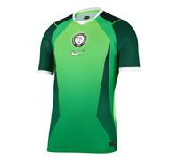 Nike Nigeria 2026 Match Home Aero-FIT Authentic Jersey 'Pine Green Electric Green White' IB5164-302 L