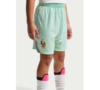 Nike Older Kids France 2026 Dri-FIT Stadium Away Shorts, Igloo/Monarch/Monarch, Size L Igloo/Monarch/Monarch