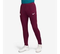 Nike Paris Saint Germain 24 25 Dri FIT ADV Strike KPZ Pants