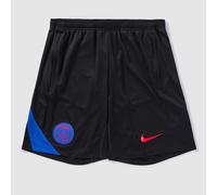 Nike Paris Saint Germain 25 26 Dri FIT Strike Third Shorts