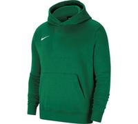 Nike Park 20 Fleece Pullover Hoodie Junior CW6896-302