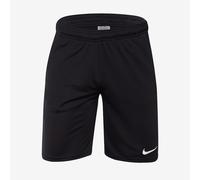 Nike Park 20 Knit Shorts
