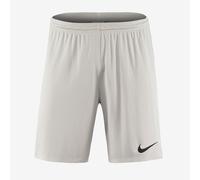 Nike Park III Shorts