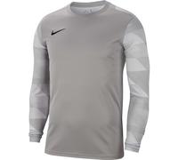 Nike Park IV GK Jersey - Pewter Grey/Black