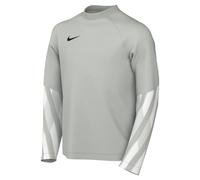 Nike Park V GK Jersey - Grey Fog/Black