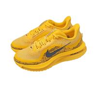 Nike Pegasus Premium LV8 Modern Mayfly Pack Men Road Running Shoes IH3256-700