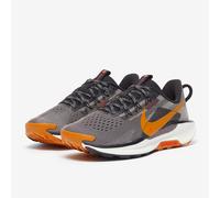Nike Pegasus Trail 5