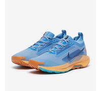 (11) Nike Pegasus Trail 5 Gore-tex Mens Fashion Trainers in Blue