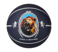 Nike Playground Lebron James 8p Basketball F506