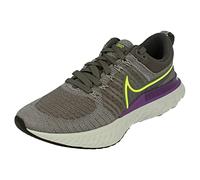 Nike React Infinity Run Flyknit 2 Grey
