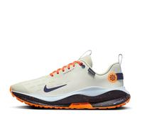 Nike ReactX Infinity Run 4 GTX Shoes 'Beige Sea Glass' FB2204-002 8.5
