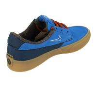 Nike Sb Shane PRM Mens Trainers Dc8902 Sneakers Shoes 400