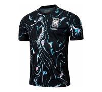 Nike South Korea 24/25 Stadium Away Jersey Asia Sizing 'Black' FJ4281-010 M