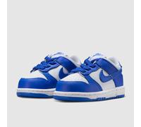 Nike Dunk Low Trainers