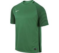 NIKE SS Gardien JSY T-Shirt, Men
