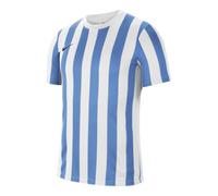Nike Striped Division IV M CW3813-103 football shirt