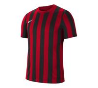 Nike Striped Division IV M Tee CW3813-658
