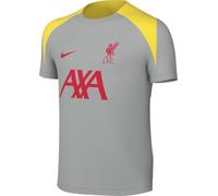 Nike Unisex Children's LFC Y Nk Df Strk SS Top K3r Shirt