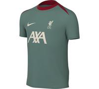 Nike Unisex Children's Liverpool FC Toddlers Dri-Fit Academypro Short-Sleeved Top K Top