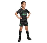 Nike Unisex Children's Mini Kits Lfc Lk Nk Df Kit Gk, Anthracite/Poison Green, FB6956-013, XS