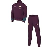 Nike Unisex Children's Psg Y Nk Df Strk Trk Suit K Tracksuit, Bordeaux/Geode Teal/Guava Ice, 14-15 Years EU