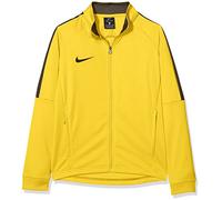 NIKE Unisex Kids Dry Academy 18 Track Jacket, tour yellow/anthracite/(black), S UK