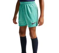 Nike Unisex Kids Fc Barcelona 2026/27 Stadion Third Nike Dri-fit Fußball-replika-Shorts Für Ältere Kinder Shorts