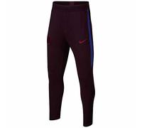 NIKE Unisex Kids FCB Y Nk Dry Strk Pant Kp Pant