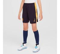 NIKE Unisex Kids Inter Y Nk Df Short Stad 3r Shorts