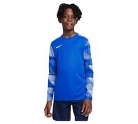 Nike Long Sleeve T-shirt Dri-FIT Park 4 Blue